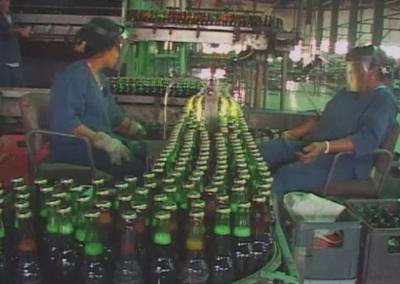 Incrementan producción de cerveza en Vueltabajo