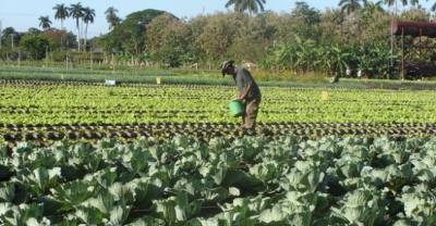 Con bien para Pinar del Río, Agricultura Urbana inicia recorrido por el país