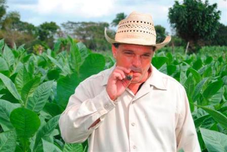 Ruta del tabaco entre novedades del turismo en Cuba